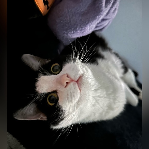 Meet Your Posher, Jordyn - Picture 2 of 2